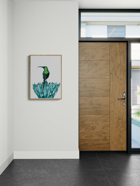 Green Malachite Sunbird Art Print