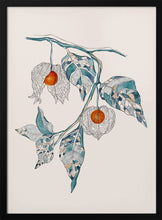 Load image into Gallery viewer, Chinese Lantern PFY Art Print