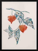 Load image into Gallery viewer, Pshysalis PFY Art Print