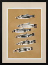 Load image into Gallery viewer, Striped Fish Parade PFY Art Print