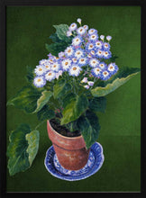 Load image into Gallery viewer, Cineraria, By Josephine PFY Art Print
