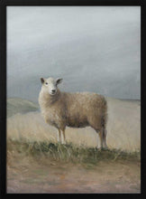 Load image into Gallery viewer, Sheep Study PFY Art Print