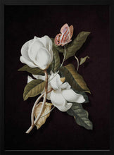 Load image into Gallery viewer, Magnolia Butterfly Bloom PFY Art Print