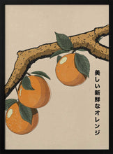 Load image into Gallery viewer, Beautiful Fresh Oranges PFY Art Print
