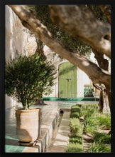Load image into Gallery viewer, Tranquil Garden Courtyard PFY Art Print
