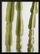 Load image into Gallery viewer, Tall Green Cacti PFY Art Print