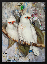 Load image into Gallery viewer, White Cockatoos Street Art PFY Art Print