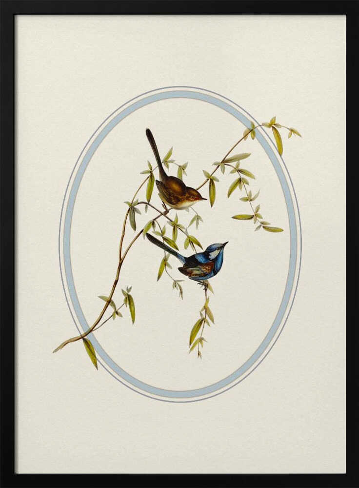 Serene Garden Birds wall art print
