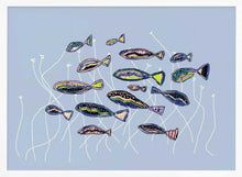 Load image into Gallery viewer, Colorful School of Fish PFY Art Print