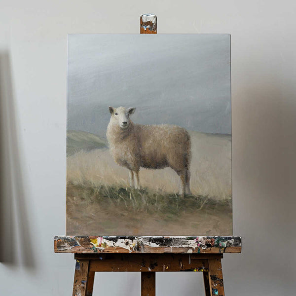 Sheep Study PFY Art Print