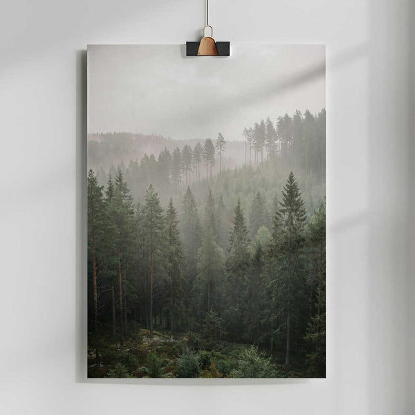 View From a Hill PFY Art Print