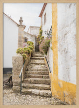 Load image into Gallery viewer, Charming European Stairway PFY Art Print