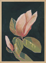 Load image into Gallery viewer, Magnolia in Dark Background PFY Art Print
