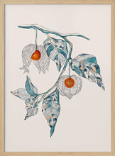 Load image into Gallery viewer, Chinese Lantern PFY Art Print