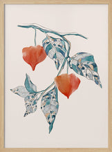 Load image into Gallery viewer, Pshysalis PFY Art Print