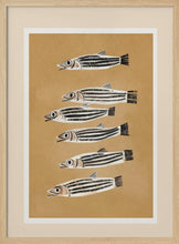 Load image into Gallery viewer, Striped Fish Parade PFY Art Print