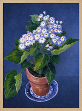 Load image into Gallery viewer, Cineraria, By Josephine PFY Art Print