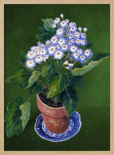 Load image into Gallery viewer, Cineraria, By Josephine PFY Art Print