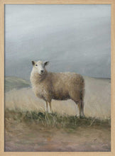 Load image into Gallery viewer, Sheep Study PFY Art Print