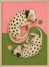 Load image into Gallery viewer, Yin and Yang Dalmatians Art Print