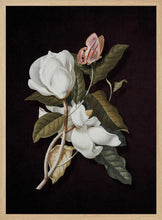 Load image into Gallery viewer, Magnolia Butterfly Bloom PFY Art Print