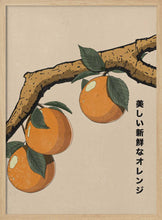 Load image into Gallery viewer, Beautiful Fresh Oranges PFY Art Print