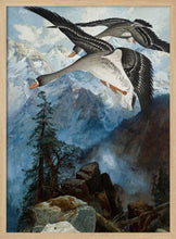 Load image into Gallery viewer, Geese Over the Sierras PFY Art Print