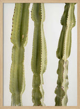 Load image into Gallery viewer, Tall Green Cacti PFY Art Print