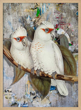Load image into Gallery viewer, White Cockatoos Street Art PFY Art Print