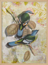 Load image into Gallery viewer, Whimsical Tropical Birds PFY Art Print