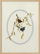 Load image into Gallery viewer, Serene Garden Birds PFY Art Print