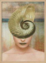 Load image into Gallery viewer, Nautilus Shell Portrait PFY Art Print