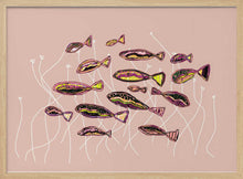 Load image into Gallery viewer, Vibrant Swimming Fish PFY Art Print