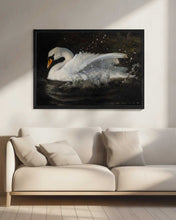 Load image into Gallery viewer, The Swan PFY Art Print