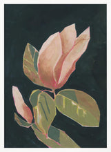 Load image into Gallery viewer, Magnolia in Dark Background PFY Art Print