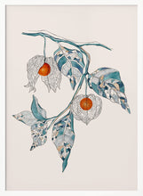 Load image into Gallery viewer, Chinese Lantern PFY Art Print