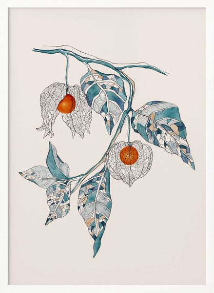 Chinese Lantern PFY Art Print