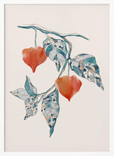 Load image into Gallery viewer, Pshysalis PFY Art Print