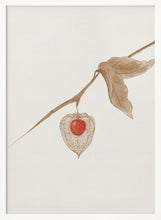 Load image into Gallery viewer, Psysalis/ Groundcherry PFY Art Print