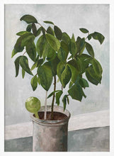 Load image into Gallery viewer, Verdant Serenity PFY Art Print