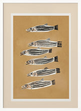Load image into Gallery viewer, Striped Fish Parade PFY Art Print