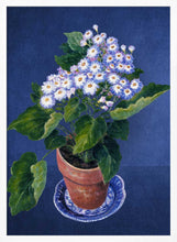 Load image into Gallery viewer, Cineraria, By Josephine PFY Art Print