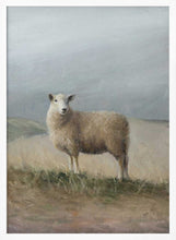 Load image into Gallery viewer, Sheep Study PFY Art Print