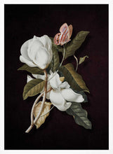 Load image into Gallery viewer, Magnolia Butterfly Bloom PFY Art Print