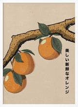 Load image into Gallery viewer, Beautiful Fresh Oranges PFY Art Print