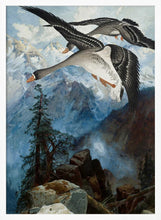 Load image into Gallery viewer, Geese Over the Sierras PFY Art Print