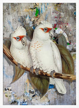 Load image into Gallery viewer, White Cockatoos Street Art PFY Art Print