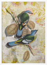 Load image into Gallery viewer, Whimsical Tropical Birds PFY Art Print