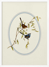 Load image into Gallery viewer, Serene Garden Birds PFY Art Print
