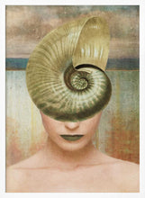 Load image into Gallery viewer, Nautilus Shell Portrait PFY Art Print